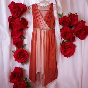 Elegant Pink Ombre Glitter Sleeveless Formal Prom Dress Girls Size 16 XL